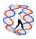 DNA Wheel